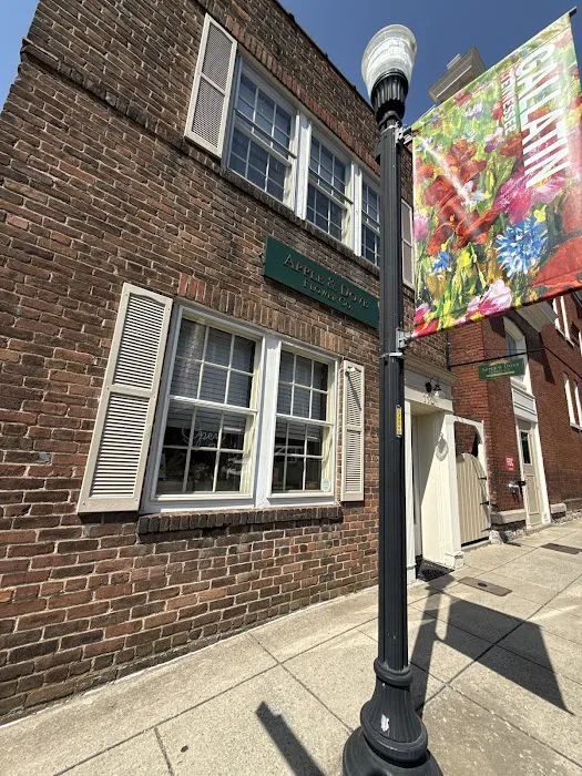 His Image Esthetics Picture 1