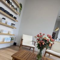 Skin Laundry - Franklin ico