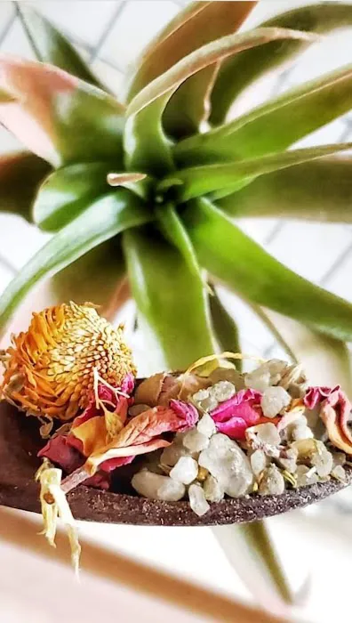 La Belle Naturelle LLC Picture 7