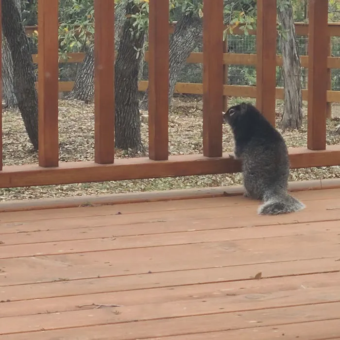 AfterGlow Aesthetics Picture 1