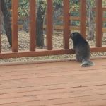 AfterGlow Aesthetics