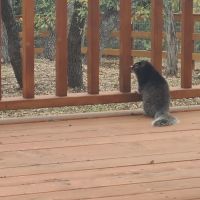 AfterGlow Aesthetics ico