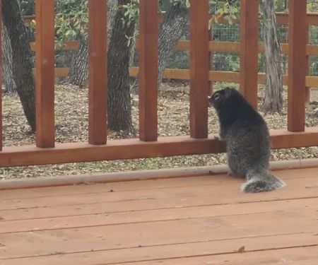 AfterGlow Aesthetics