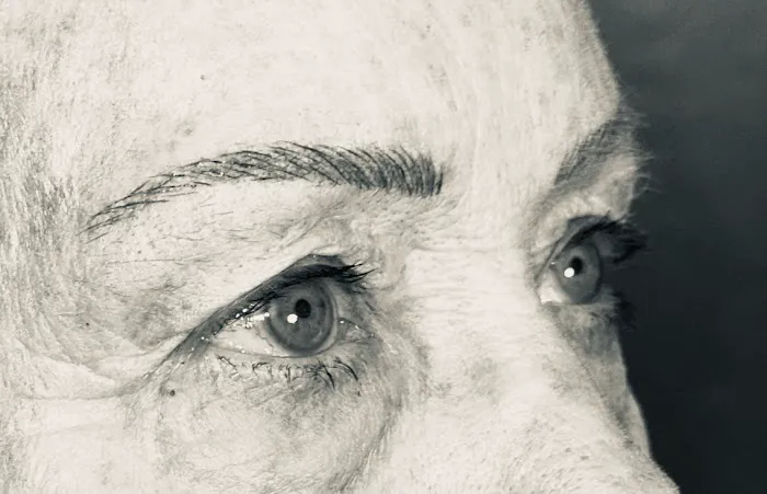 Grand Aesthetics 2 Picture 5