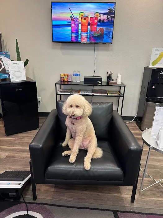 Love Skin Holistic Medical Spa Picture 10