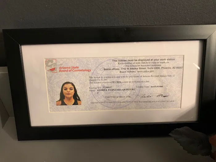 Aesthetic Alchemy Picture 3