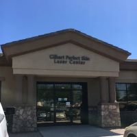 Gilbert Perfect Skin ico