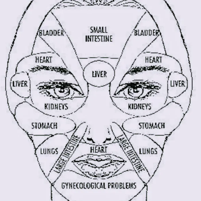 The Skin Coach, LLC Picture 9