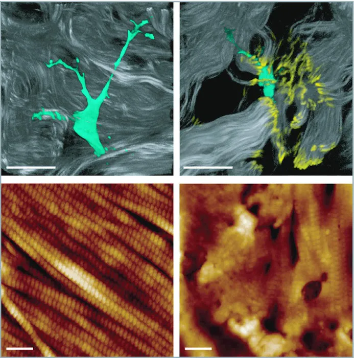 The Skin Coach, LLC Picture 10