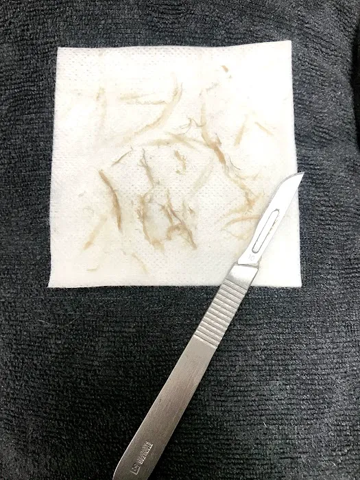 The Refined Rebel skin, beauty and tattoo Picture 5