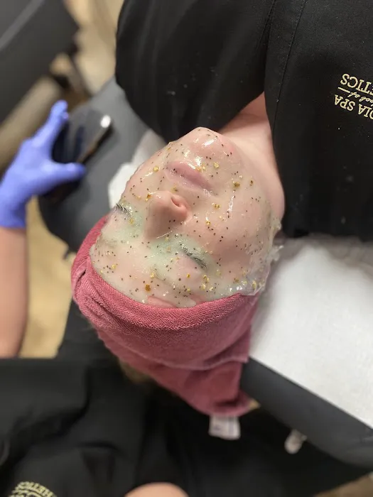 Aesthetics by Hannah B. Picture 1