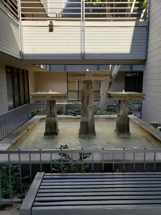 skinDefined Picture 6