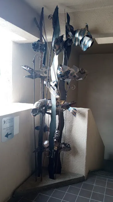 Advanced Dermatology and Cosmetic Surgery - Phoenix Picture 5