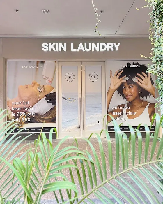 Skin Laundry - Biltmore Picture 3