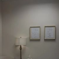 Simply Aesthetics ico