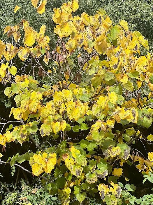 Glowing Skin Aesthetics LLC Picture 9