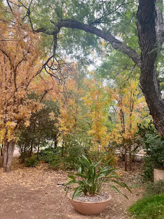 Glowing Skin Aesthetics LLC Picture 10