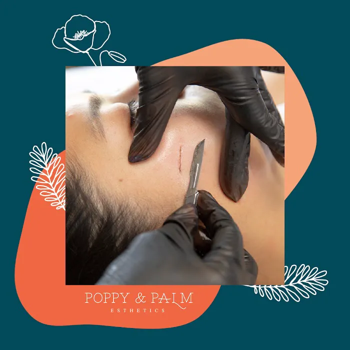 Poppy & Palm Esthetics LLC Picture 4