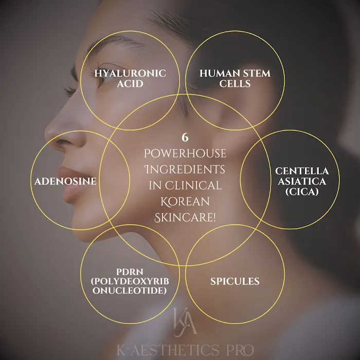 K-Aesthetics Pro Picture 9