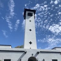 Sweet Petals Skin Care & Holistic Health ico