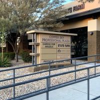 Minted Skin Care ico