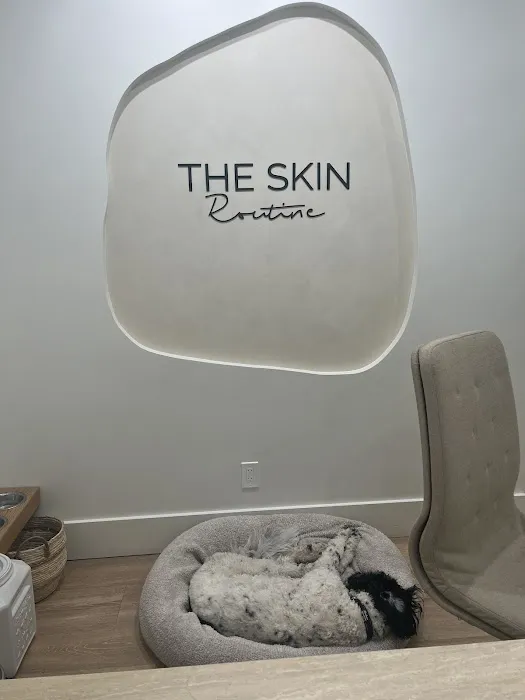 The Skin Routine Picture 1