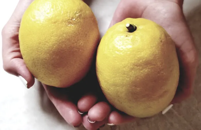 Trifecta Mind Body Soul Picture 1