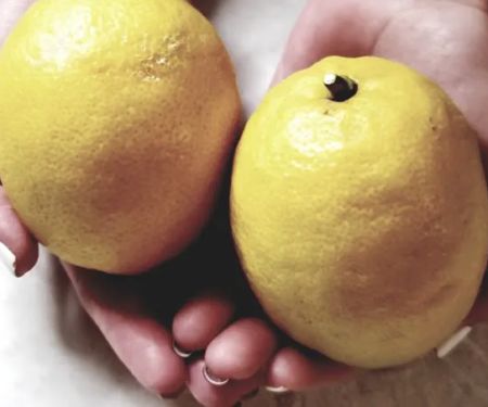 Trifecta Mind Body Soul