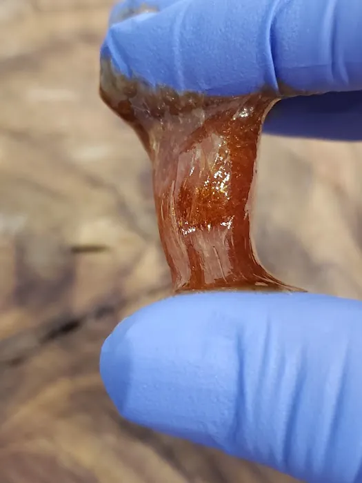 Sugared and Glow Picture 1