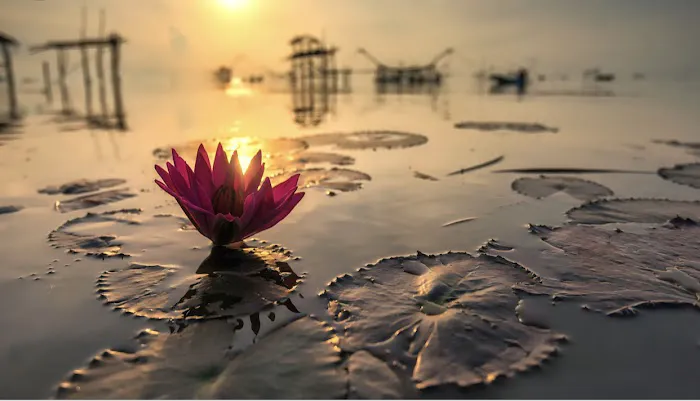 Mais Oui Skincare Picture 2