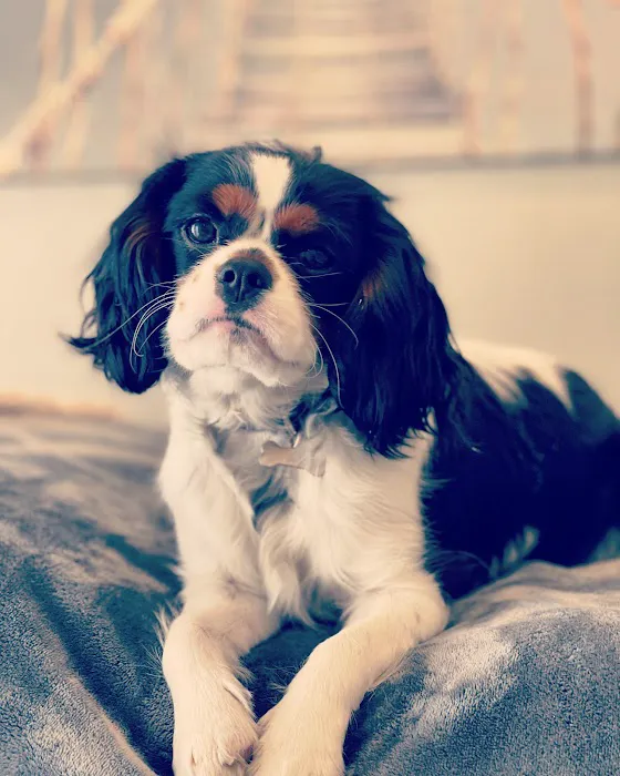 Mais Oui Skincare Picture 1