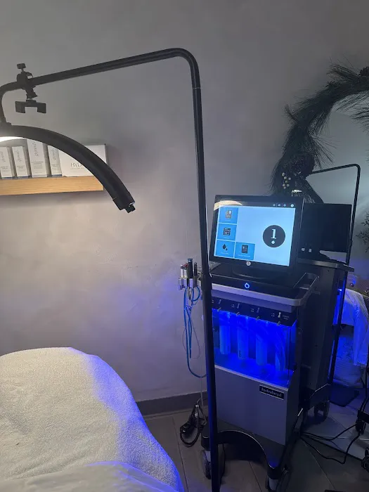 The Modern Aesthetic AZ Picture 1