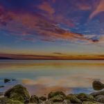 Mira Vista Surgical Dermatology - Fort Worth