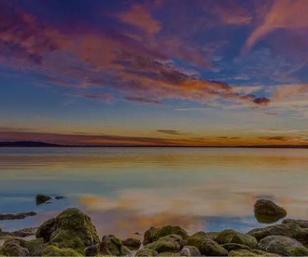 Mira Vista Surgical Dermatology - Fort Worth