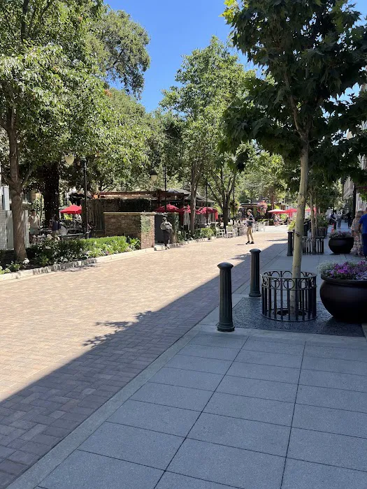 The Eye Spa by Optical Illusions | IPL, Radiofrequency, Microneedling Aesthetics Picture 1