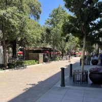 The Eye Spa by Optical Illusions | IPL, Radiofrequency, Microneedling Aesthetics ico