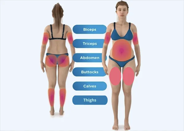 Nozawa Intl, LLC Picture 1