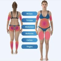 Nozawa Intl, LLC ico