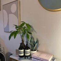 Glow Skin Therapy K-Beauty Facials ico