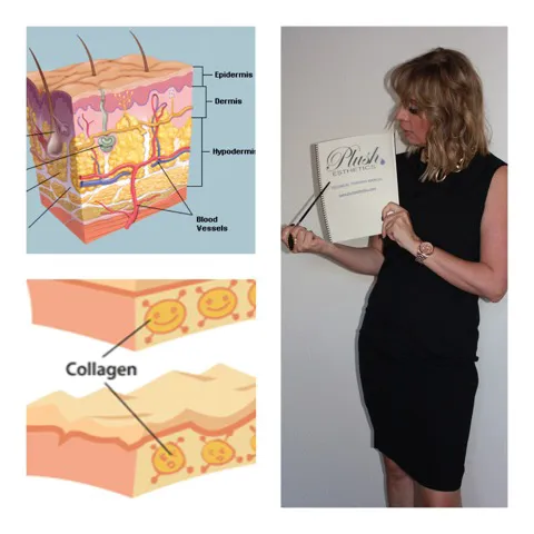 Plush Esthetics Picture 8