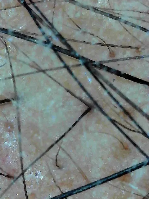 HairVive Studio Picture 1