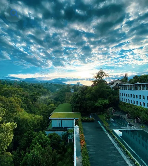 Cosmetique of Germany Picture 1