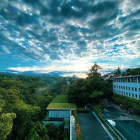 Cosmetique of Germany ico