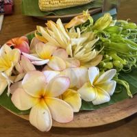 Skincare by Pearl- Los Altos, Ca ico