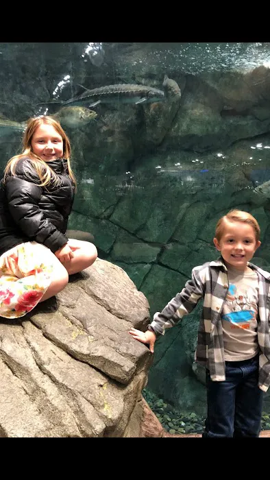 Moore Clinical Aesthetics Picture 7