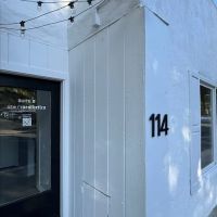 Ashley Aesthetics ico