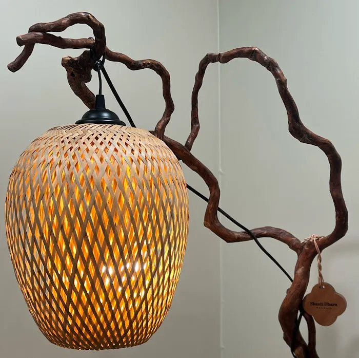 Shanti Dhara Wellness Picture 3