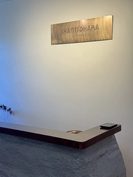 Shanti Dhara Wellness Picture 5