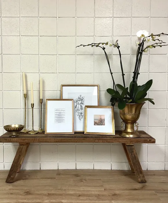 The Cosmetic Collective Picture 7