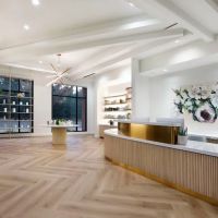 The iO Clinic by L&P Aesthetics ico